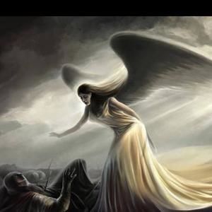 Meet your Posher, Dave